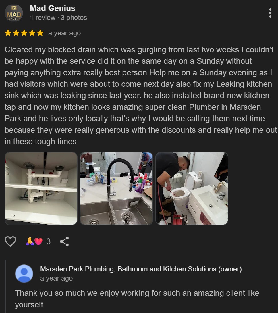 Google review screenshot 2